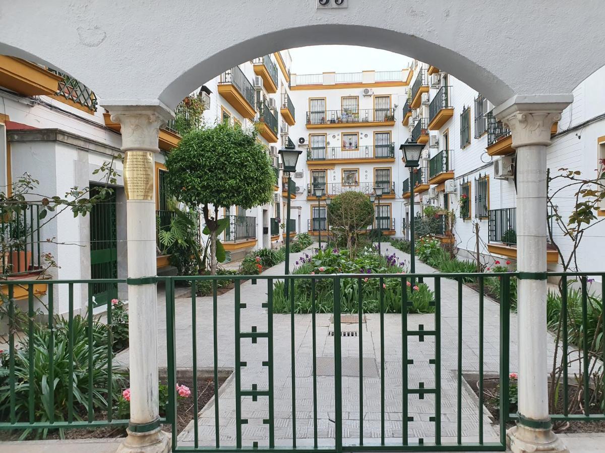 Nool * Seville