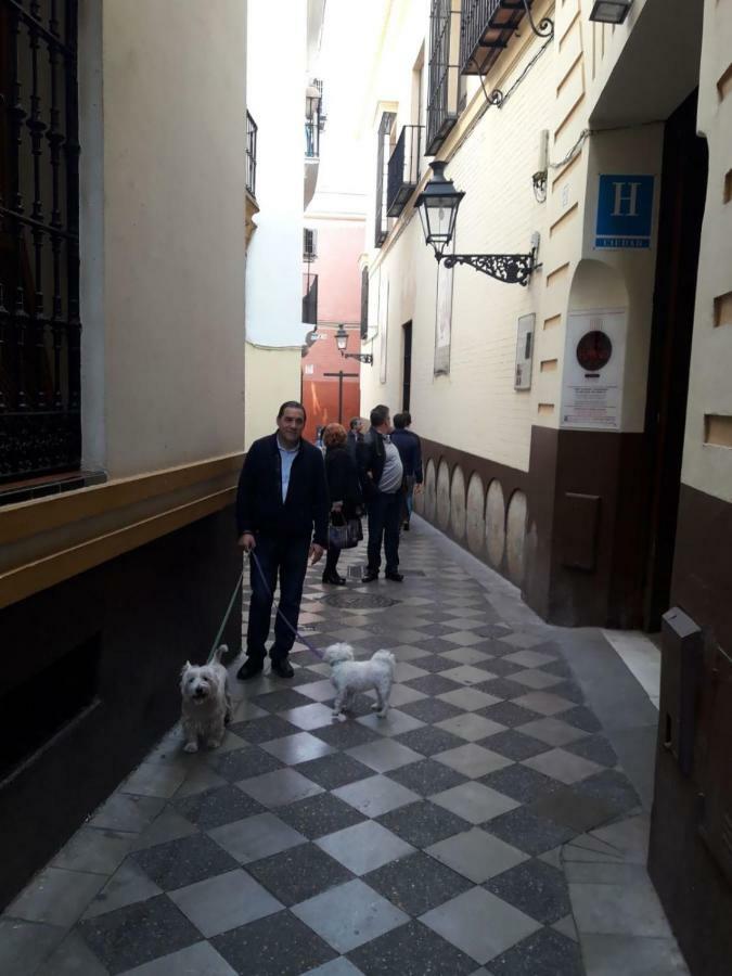 Nool Apartment Seville
